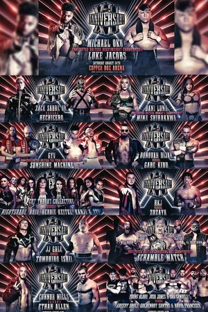 Постер: RevPro 12 Year Anniversary Show