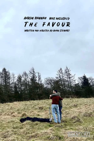 Постер: The Favour
