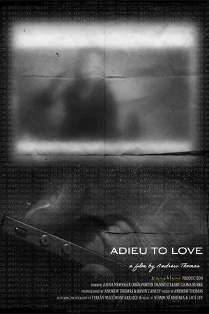 Постер: adieu to love