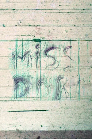 Постер: Miss Dora