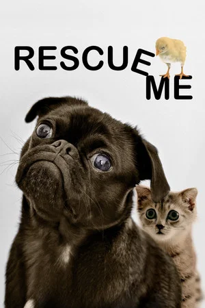 Постер: Rescue Me