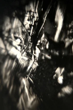 Постер: Chaos Is Order Misunderstood
