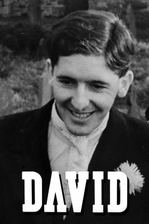 Постер: David