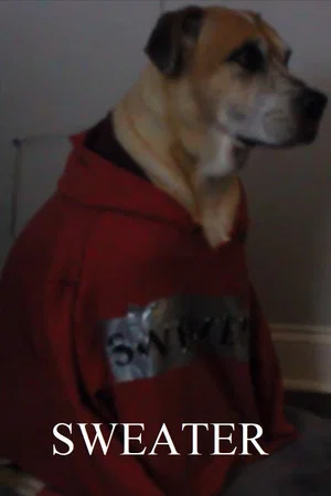 Постер: Sweater