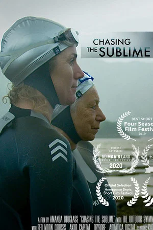 Постер: Chasing the Sublime