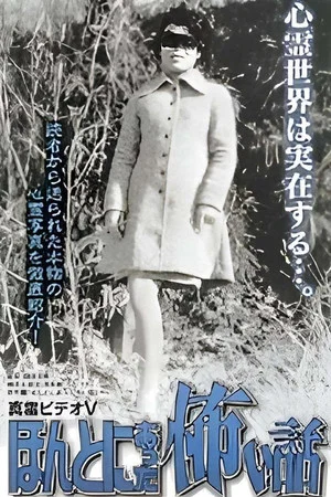 Постер: Shin rei bideo V: Honto ni atta kowai hanashi - kyôfushin rei shashin-kan