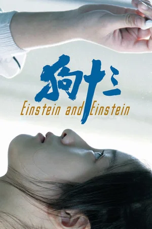 Постер: Einstein and Einstein