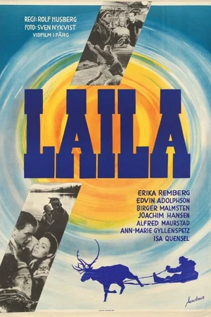 Постер: Laila