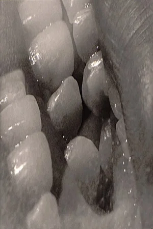 Постер: Teeth Tongue