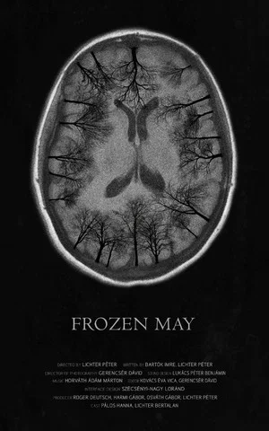 Постер: Frozen May
