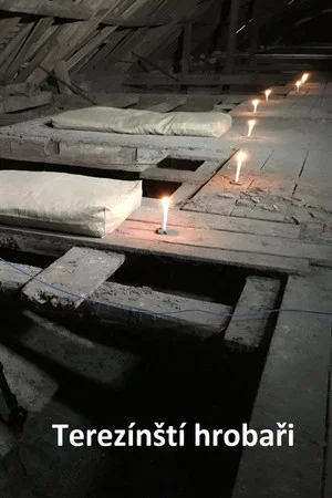 Постер: Terezínští hrobaři