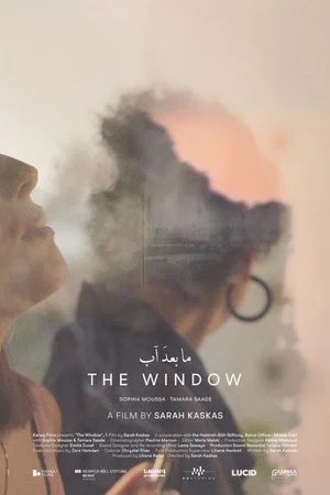 Постер: The Window