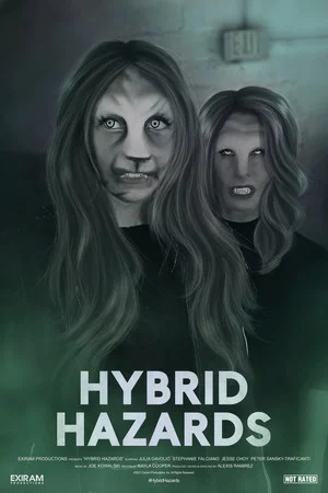 Постер: Hybrid Hazards