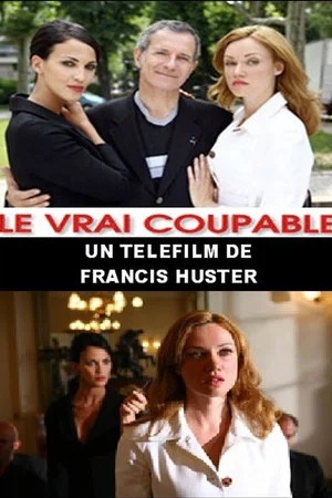 Постер: Le Vrai Coupable