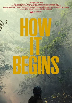 Постер: How it begins