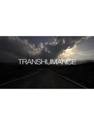 Постер: Transumanza
