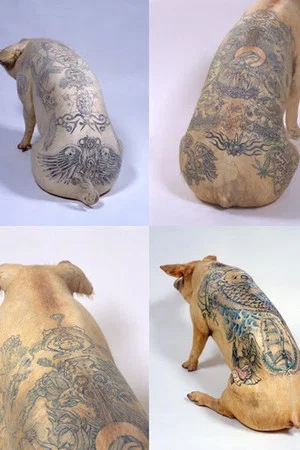 Постер: De l'art et du cochon