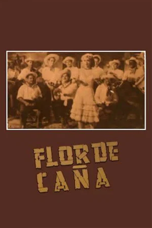 Постер: Flor de caña