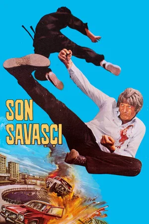 Постер: Holy Sword