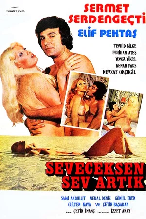 Постер: Seveceksen Sev Artık