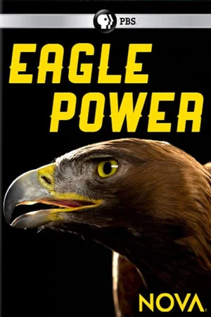 Постер: Eagle Power