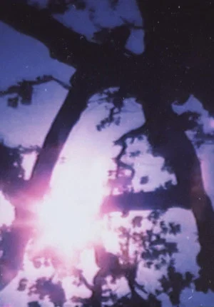 Постер: Light Point