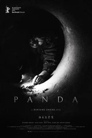 Постер: Panda