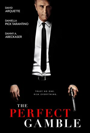 Постер: The Perfect Gamble