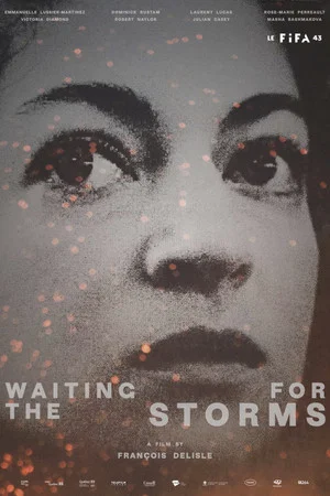 Постер: Waiting for the Storms