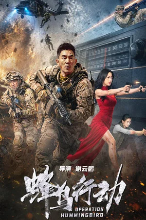 Постер: Operation Hummingbird