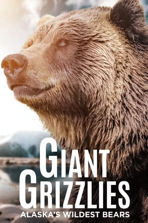 Постер: Giant Grizzlies