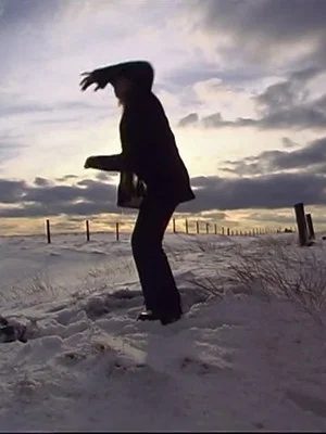 Постер: The Dance Project