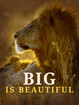 Постер: Big is Beautiful