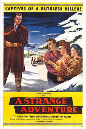 Постер: A Strange Adventure
