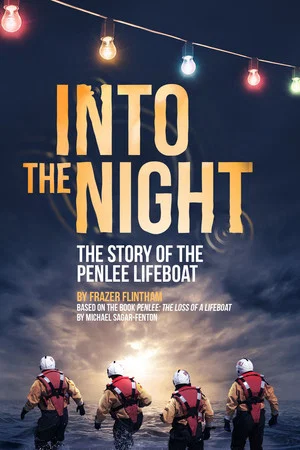 Постер: Into the Night