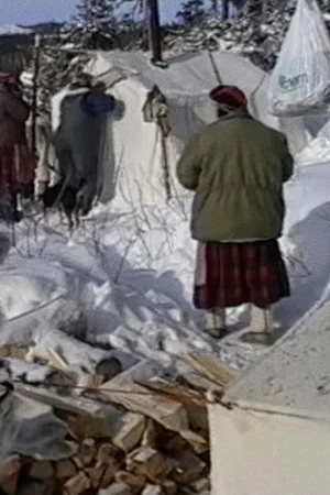 Постер: Innu aitun (connaissances traditionnelles innues)