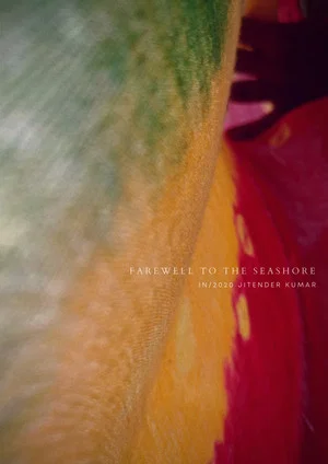 Постер: Farewell to the Seashore