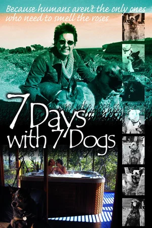 Постер: 7 Days with 7 Dogs