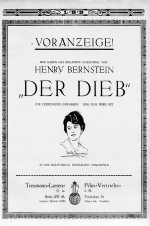 Постер: Der Dieb
