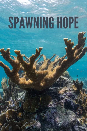 Постер: Spawning Hope
