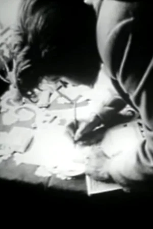 Постер: Brakhage on Film