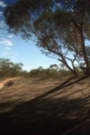Постер: Coorow-Latham Road