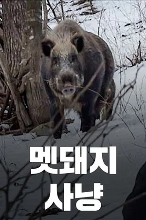 Постер: Wild Boar Hunting