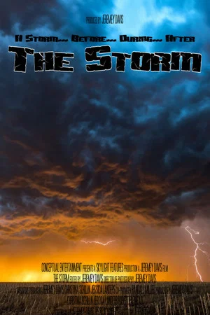 Постер: The Storm