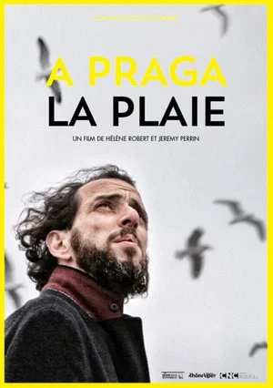Постер: A praga/La plaie