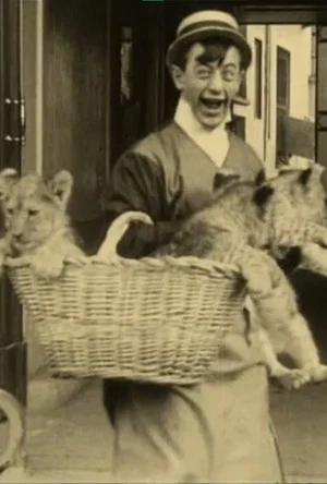 Постер: Polidor and the Cat