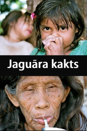 Постер: Jaguar's Corner