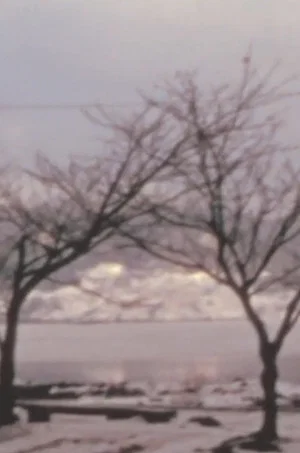 Постер: Phenomenology of a Japanese City