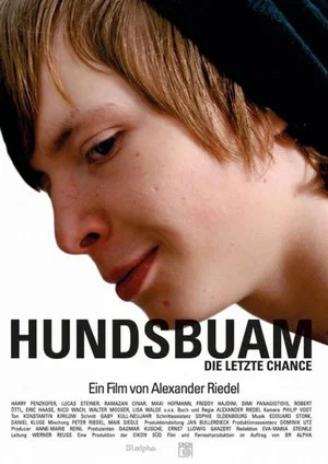 Постер: Hundsbuam - Die letzte Chance