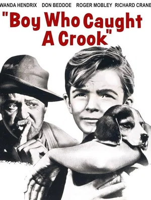 Постер: Boy Who Caught a Crook